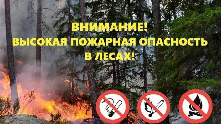20-25 мая ожидается высокая (4-5 класс) пожароопасность